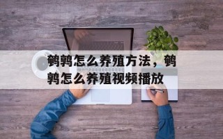 鹌鹑怎么养殖方法，鹌鹑怎么养殖视频播放