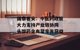 国泰君安：中医药政策大力支持产业链协同 头部药企有望率先获益