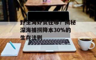 野生海虾贵在哪？揭秘深海捕捞降本30%的生存法则