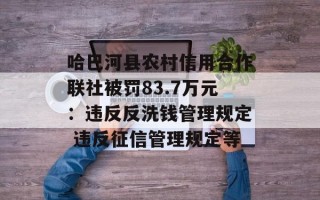 哈巴河县农村信用合作联社被罚83.7万元：违反反洗钱管理规定 违反征信管理规定等