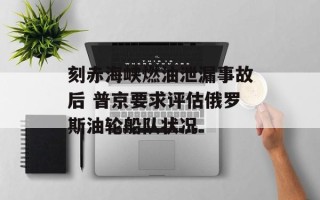 刻赤海峡燃油泄漏事故后 普京要求评估俄罗斯油轮船队状况
