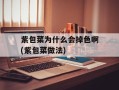 紫包菜为什么会掉色啊(紫包菜做法)