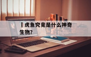 鰕虎鱼究竟是什么神奇生物？