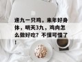 逢九一只鸡，来年好身体，明天3九，鸡肉怎么做好吃？不懂可惜了！