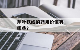 芹叶铁线的药用价值有哪些？