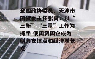 全国政协委员、天津市国资委主任张勇：以“三新”“三量”工作为抓手 使国资国企成为财力支撑点和经济增长点