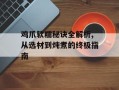 鸡爪软糯秘诀全解析,从选材到炖煮的终极指南