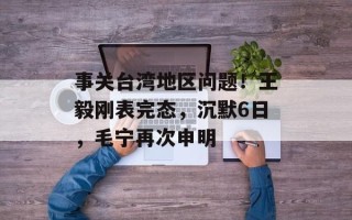事关台湾地区问题！王毅刚表完态，沉默6日，毛宁再次申明