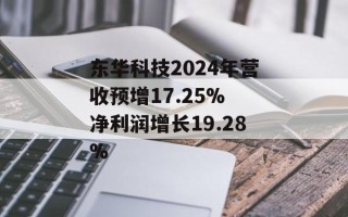 东华科技2024年营收预增17.25% 净利润增长19.28%