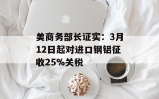 美商务部长证实：3月12日起对进口钢铝征收25%关税