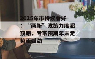 2025车市持续看好：“两新”政策力度超预期，专家预期年末走势更强劲