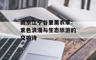 南京江宁谷里薰衣草：紫色浪漫与生态旅游的交响诗