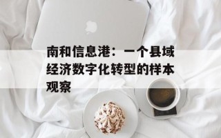 南和信息港：一个县域经济数字化转型的样本观察