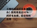 小棚虾感染纤毛虫怎么办？致死率高达95%的纤毛虫病，应该如何处理