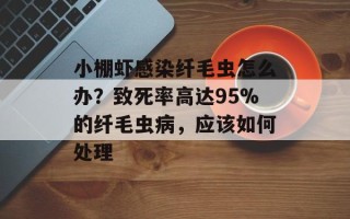 小棚虾感染纤毛虫怎么办？致死率高达95%的纤毛虫病，应该如何处理