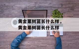 黄金果树苗长什么样，黄金果树苗长什么样