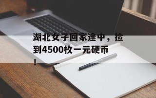 湖北女子回家途中，捡到4500枚一元硬币！