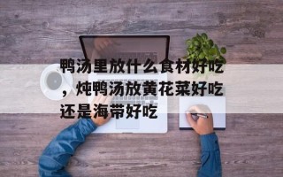 鸭汤里放什么食材好吃，炖鸭汤放黄花菜好吃还是海带好吃