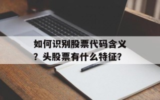 如何识别股票代码含义？头股票有什么特征？