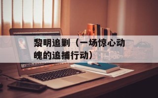 黎明追剿（一场惊心动魄的追捕行动）