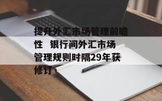 提升外汇市场管理前瞻性  银行间外汇市场管理规则时隔29年获修订