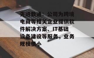 先进数通：公司为跨境电商等相关企业提供软件解决方案、IT基础设备建设等服务，业务规模很小