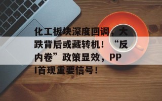化工板块深度回调，大跌背后或藏转机！“反内卷”政策显效，PPI首现重要信号！