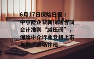 6月17日保险日报丨中小险企获新保险合同会计准则“减压阀”，保险中介行业竞相上市与黯然退场并现