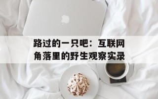 路过的一只吧：互联网角落里的野生观察实录