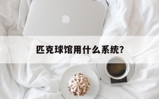 匹克球馆用什么系统？