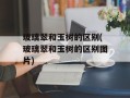 玻璃翠和玉树的区别(玻璃翠和玉树的区别图片)