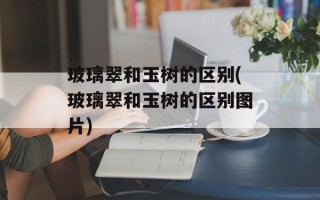 玻璃翠和玉树的区别(玻璃翠和玉树的区别图片)