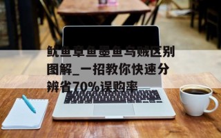 鱿鱼章鱼墨鱼乌贼区别图解_一招教你快速分辨省70%误购率
