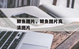 鲫鱼图片，鲫鱼图片高清图片