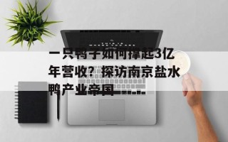 一只鸭子如何撑起3亿年营收？探访南京盐水鸭产业帝国