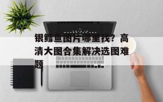 银鳕鱼图片哪里找？高清大图合集解决选图难题