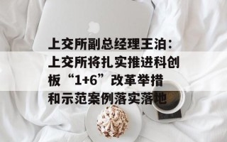 上交所副总经理王泊：上交所将扎实推进科创板“1+6”改革举措和示范案例落实落地