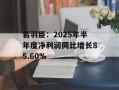 若羽臣：2025年半年度净利润同比增长85.60%