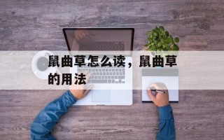 鼠曲草怎么读，鼠曲草的用法