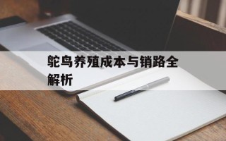 鸵鸟养殖成本与销路全解析