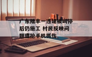 广东陆丰一违建被叫停后仍施工 村民反映问题遭抢手机抓伤
