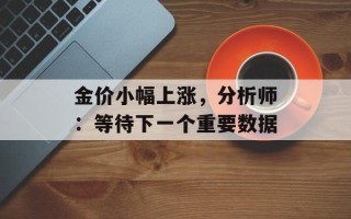 金价小幅上涨，分析师：等待下一个重要数据
