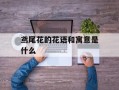 鸢尾花的花语和寓意是什么