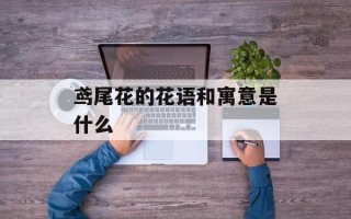 鸢尾花的花语和寓意是什么
