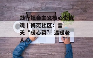 践行社会主义核心价值观 | 梅苑社区：雪天“暖心菜” 温暖老人心