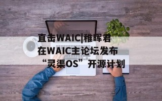直击WAIC|稚晖君在WAIC主论坛发布“灵渠OS”开源计划