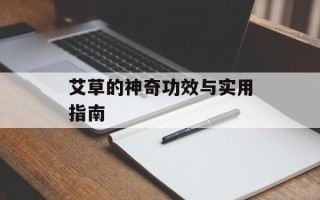 艾草的神奇功效与实用指南