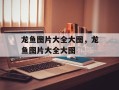 龙鱼图片大全大图，龙鱼图片大全大图