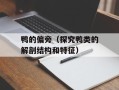 鸭的偏旁（探究鸭类的解剖结构和特征）