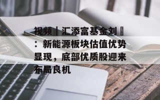 视频｜汇添富基金刘昇：新能源板块估值优势显现，底部优质股迎来布局良机